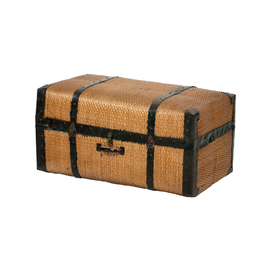 Willow suitcase CL484