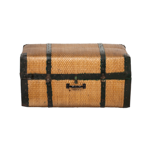 Willow suitcase CL484