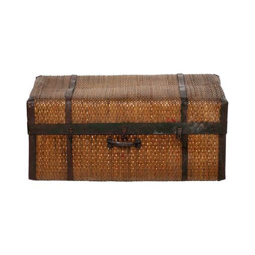 Willow suitcase CL496