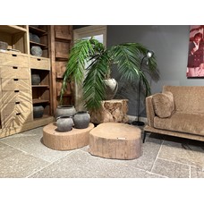 Elmwood Side Table Tree Trunk