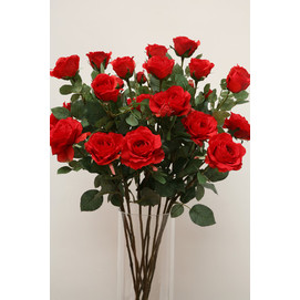 RAMAS BROTE ROSAS C/ROJO