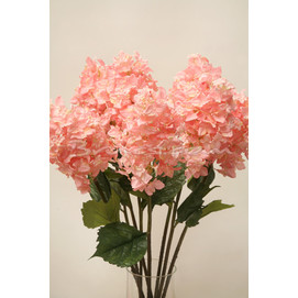 RAMA HORTENSIA CÓNICA ROSA