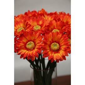 RAMA GERBERA PQ. NARANJA