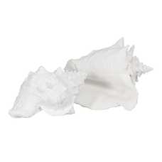 FIGURA CARACOLA BLANCO RESINA DECORACIÓN 21 X 14 X 12 CM