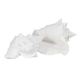 FIGURA CARACOLA BLANCO RESINA DECORACIÓN 21 X 14 X 12 CM