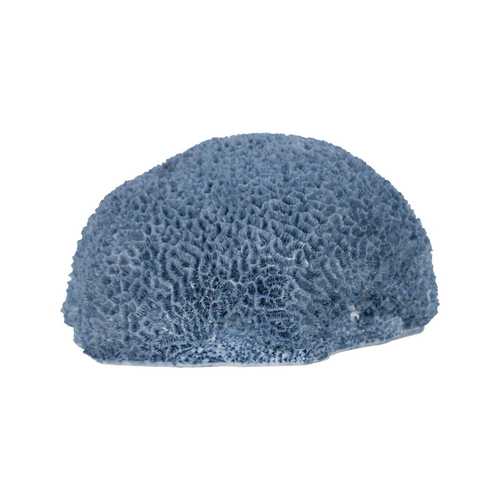 FIGURA ESPONJA AZUL RESINA DECORACIÓN 23 X 21 X 11 CM