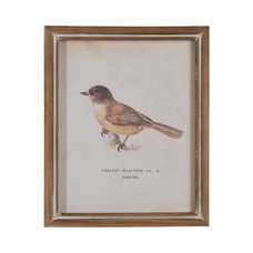 CUADRO IMPRESIÓN PÁJAROS 4/M 23 X 2,50 X 28 CM CUADRO IMPRESIÓN PÁJAROS 4/M 23 X 2,50 X 28 CM