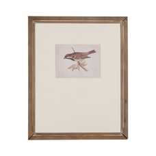 CUADRO IMPRESIÓN PÁJAROS 2/M 43 X 2 X 53 CM CUADRO IMPRESIÓN PÁJAROS 2/M 43 X 2 X 53 CM