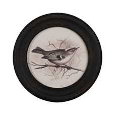 CUADRO IMPRESIÓN PÁJAROS 4/M DM-CRISTAL 25 X 2 X 25 CM CUADRO IMPRESIÓN PÁJAROS 4/M DM-CRISTAL 25 X 2 X 25 CM