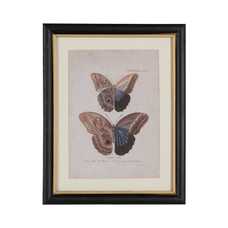 CUADRO IMPRESIÓN MARIPOSAS 4/M 31 X 1,80 X 39 CM