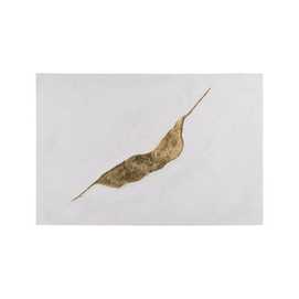 CUADRO RELIEVE 2/M LIENZO DECORACIÓN 80 X 3,50 X 80 CM