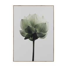 CUADRO 2/M MADERA DECORACIÓN 50 X 3 X 70 CM CUADRO 2/M MADERA DECORACIÓN 50 X 3 X 70 CM