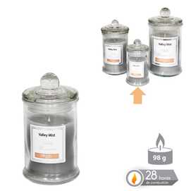 VELA TARRO CRISTAL PERFUMADA GRIS 6 X 11 CM