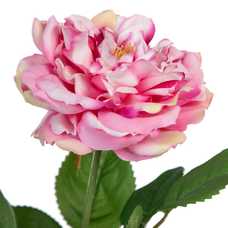 FLOR ROSA ARTIFICIAL DECORACIÓN 14 X 16 X 43 CM FLOR ROSA ARTIFICIAL DECORACIÓN 14 X 16 X 43 CM