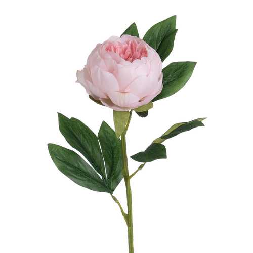 FLOR PEONÍA ROSA POLIÉSTER-POLIETILENO 66 CM