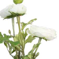 PLANTA FLOR CREMA ARTIFICIAL DECORACIÓN 11 X 11 X 36 CM PLANTA FLOR CREMA ARTIFICIAL DECORACIÓN 11 X 11 X 36 CM