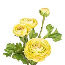 PLANTA FLOR NARANJA ARTIFICIAL 11 X 11 X 36 CM PLANTA FLOR NARANJA ARTIFICIAL 11 X 11 X 36 CM