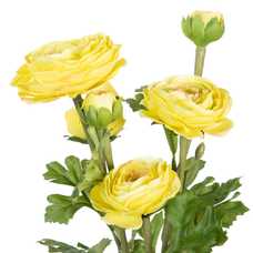 PLANTA FLOR NARANJA ARTIFICIAL 12,50 X 12,50 X 37 CM PLANTA FLOR NARANJA ARTIFICIAL 12,50 X 12,50 X 37 CM