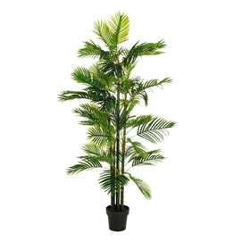 PLANTA ARECA PALMERA VERDE 170 CM