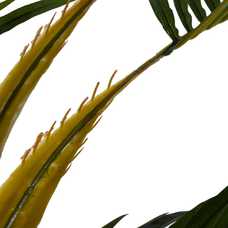 PLANTA ARECA PALMERA VERDE 100 X 130 X 210 CM PLANTA ARECA PALMERA VERDE 100 X 130 X 210 CM