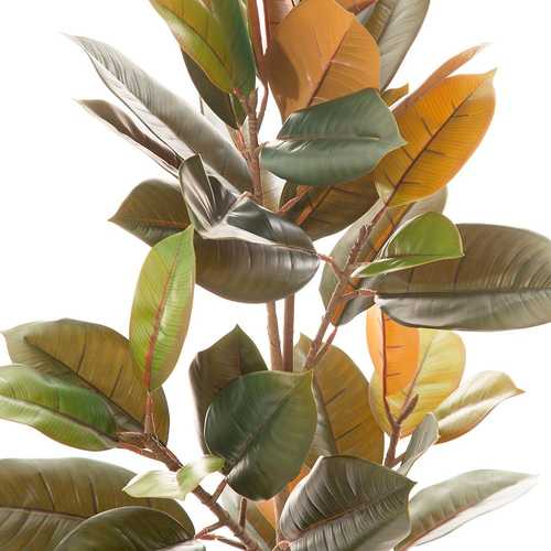 PLANTA FICUS VERDE OSCURO 36 X 37 X 90 CM