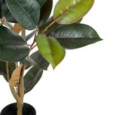 PLANTA FICUS VERDE OSCURO 49 X 45 X 125 CM PLANTA FICUS VERDE OSCURO 49 X 45 X 125 CM