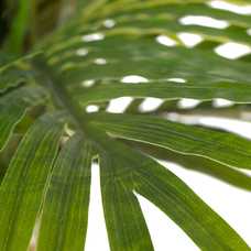 PLANTA ARECA VERDE ARTIFICIAL 189 CM PLANTA ARECA VERDE ARTIFICIAL 189 CM