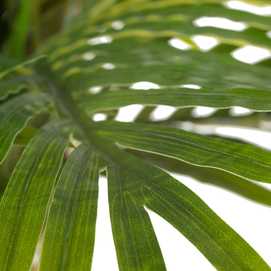 PLANTA ARECA VERDE ARTIFICIAL 189 CM