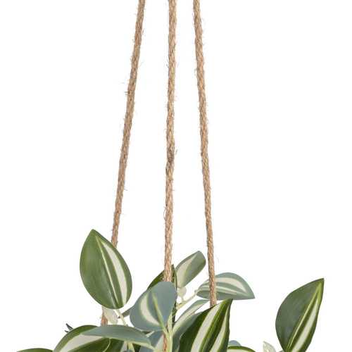 MACETA PEPEROMIA VERDE-BLANCO "PVC" 24 X 35 X 25 CM