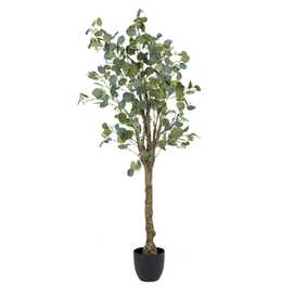 PLANTA EUCALIPTO VERDE 78 X 68 X 150 CM