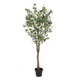 PLANTA EUCALIPTO VERDE 80 X 75 X 173 CM