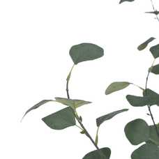 ÁRBOL EUCALIPTO VERDE ARTIFICIAL 60 X 55 X 160 CM