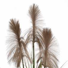 PLANTA PVC-TEJIDO DECORACIÓN 120 CM