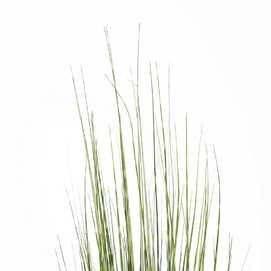 PLANTA PVC DECORACIÓN 152 CM