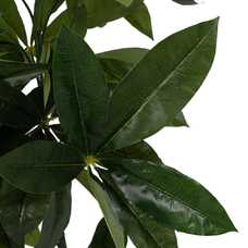 PLANTA PACHIRA VERDE GOMA DECORACIÓN 70 CM PLANTA PACHIRA VERDE GOMA DECORACIÓN 70 CM