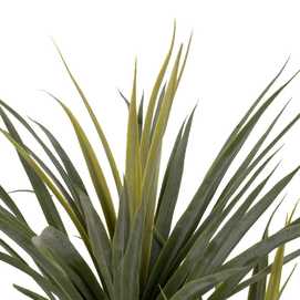 PLANTA DRACAENA VERDE GOMA DECORACIÓN 110 CM