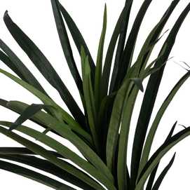PLANTA DRACAENA VERDE GOMA 130 CM