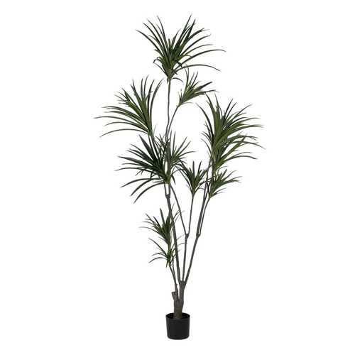 PLANTA DRACAENA VERDE GOMA 220 CM