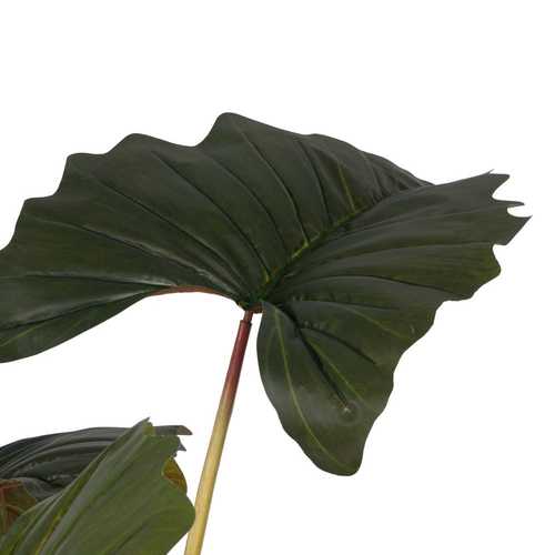 PLANTA COLOCASIA VERDE POLIETILENO 185 CM