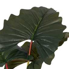 PLANTA COLOCASIA VERDE POLIETILENO 165 CM PLANTA COLOCASIA VERDE POLIETILENO 165 CM