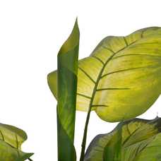 PLANTA DIEFEMBAQUIA VERDE POLIETILENO 135 CM PLANTA DIEFEMBAQUIA VERDE POLIETILENO 135 CM