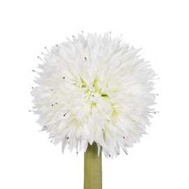 PLANTA PIÑA VERDE-BLANCO POLIETILENO 100 CM