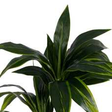 PLANTA DRACAENA VERDE PVC JARDÍN 140 CM PLANTA DRACAENA VERDE PVC JARDÍN 140 CM