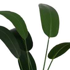 PLANTA STRELITZIA VERDE PVC-TEJIDO 150 CM