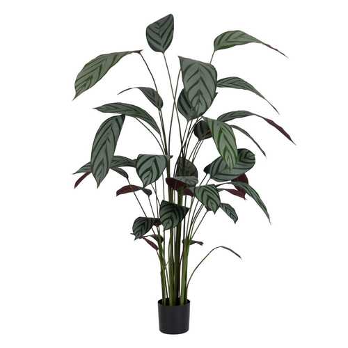 PLANTA VERDE PVC-TEJIDO JARDÍN 220 CM