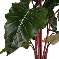 PLANTA COLOCASIA VERDE ARTIFICIAL JARDÍN 80 X 80 X 160 CM PLANTA COLOCASIA VERDE ARTIFICIAL JARDÍN 80 X 80 X 160 CM