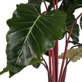 PLANTA COLOCASIA VERDE ARTIFICIAL JARDÍN 80 X 80 X 160 CM