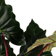 PLANTA COLOCASIA VERDE ARTIFICIAL JARDÍN 85 X 85 X 180 CM PLANTA COLOCASIA VERDE ARTIFICIAL JARDÍN 85 X 85 X 180 CM