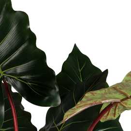 PLANTA COLOCASIA VERDE ARTIFICIAL JARDÍN 85 X 85 X 180 CM