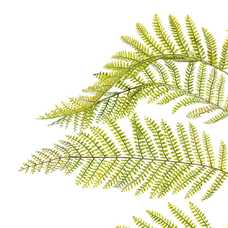 RAMA HELECHO VERDE "PVC" DECORACIÓN 36 X 114 CM RAMA HELECHO VERDE "PVC" DECORACIÓN 36 X 114 CM